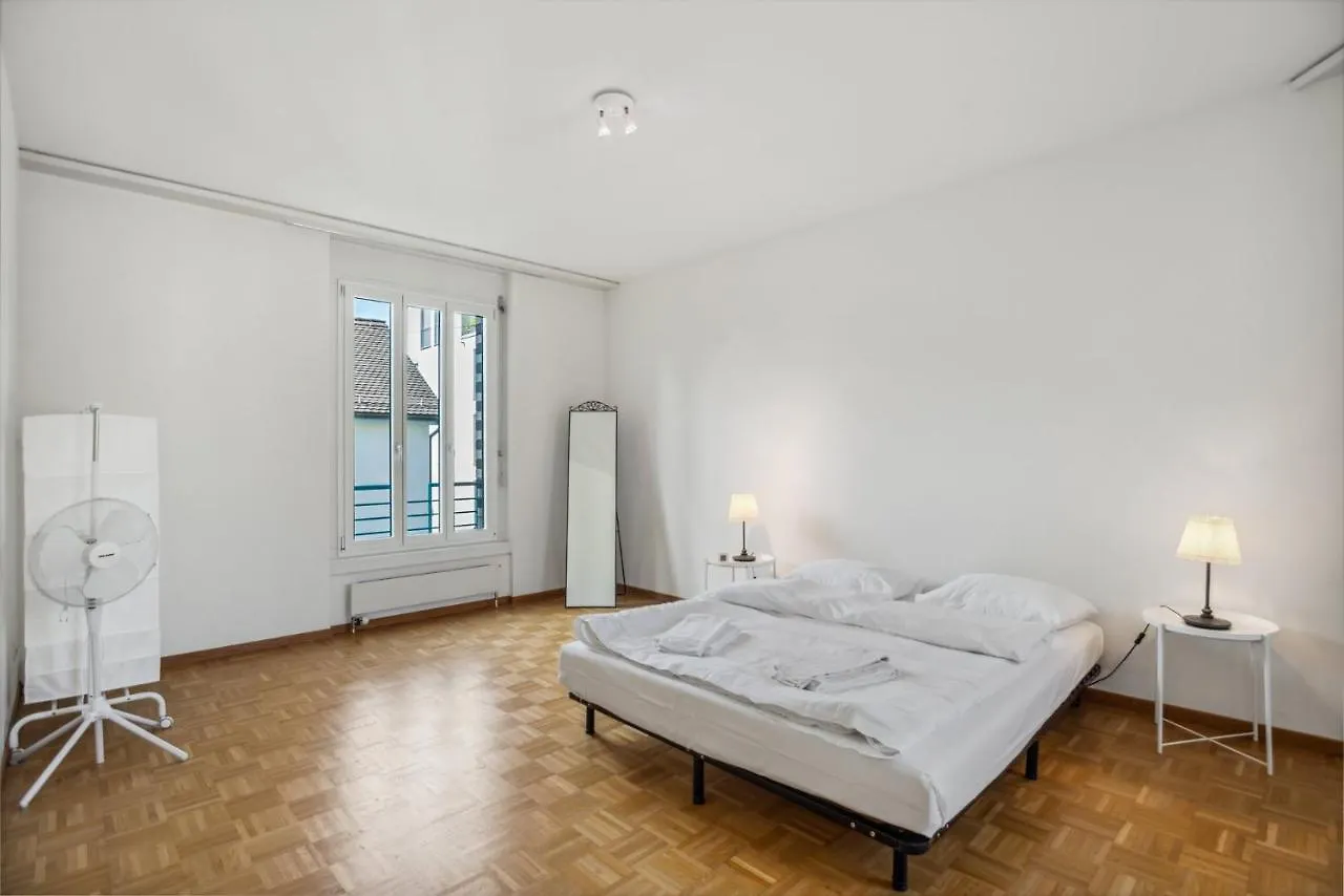 Spacious Central Apartments Hoting Zurigo
